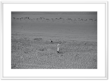 Charger l'image dans la galerie, On the beach 3